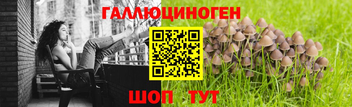 Галлюциногенные грибы MAGIC MUSHROOMS Ахтубинск